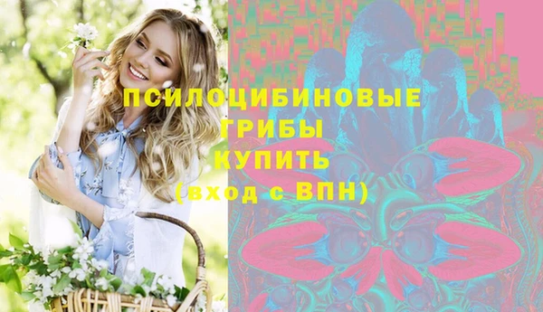 мет Корсаков