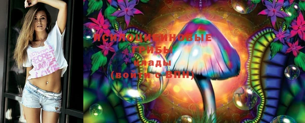 герыч Коряжма