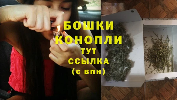 мет Корсаков